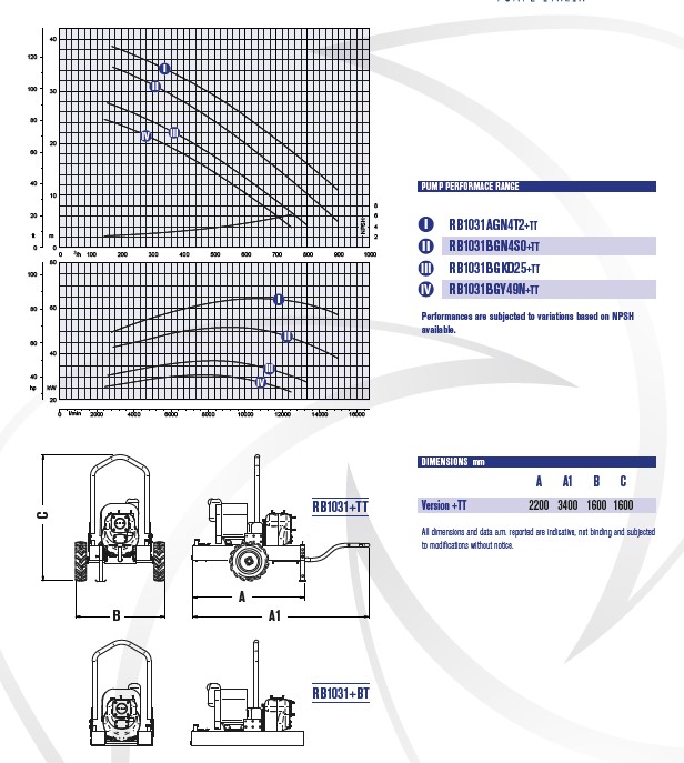 RB1031.jpg